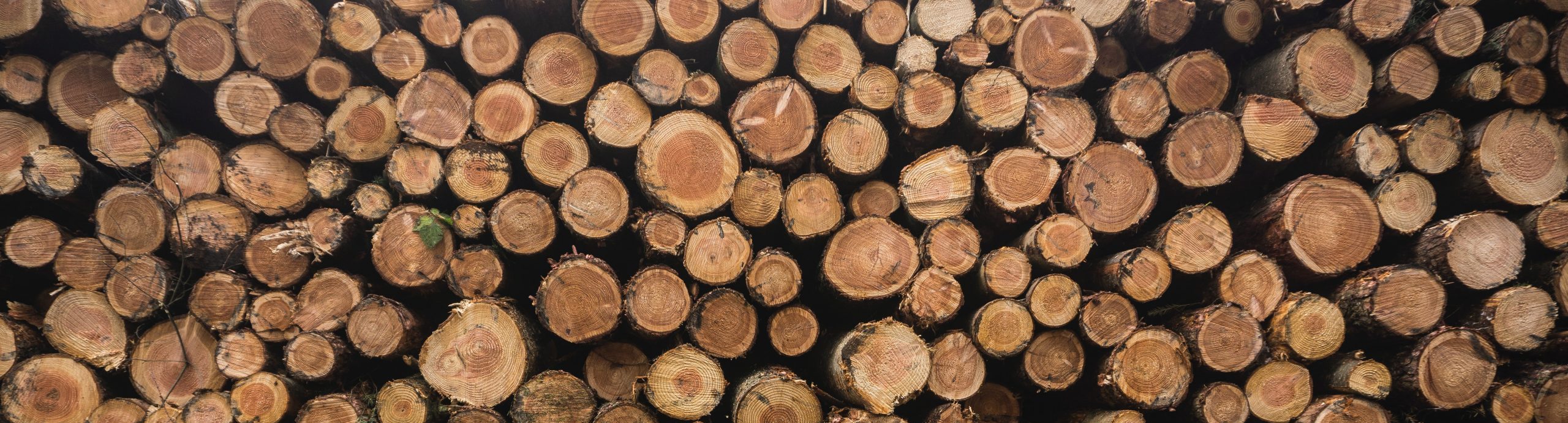 Libby, Montana awarded BDO Zone 'A' rating for woody biomass