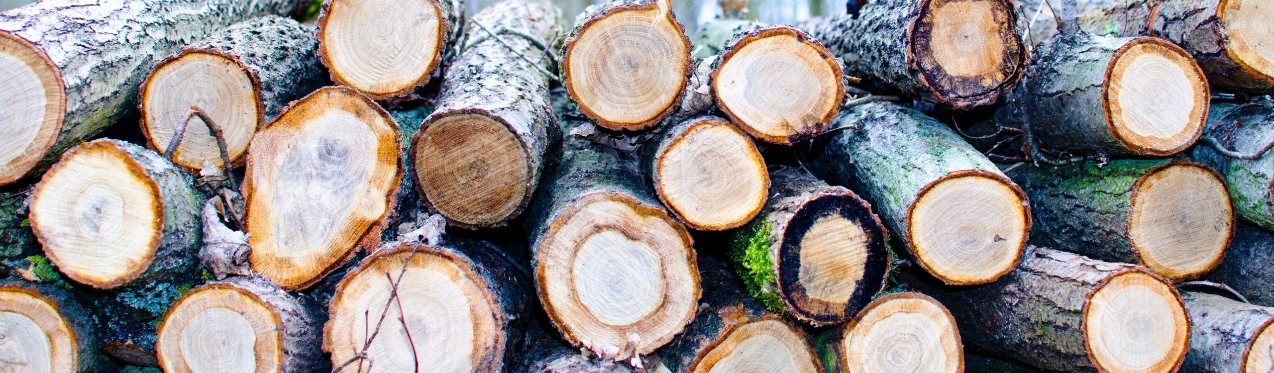 Matawinie, Québec issued BDO Zone 'A' rating for woody biomass