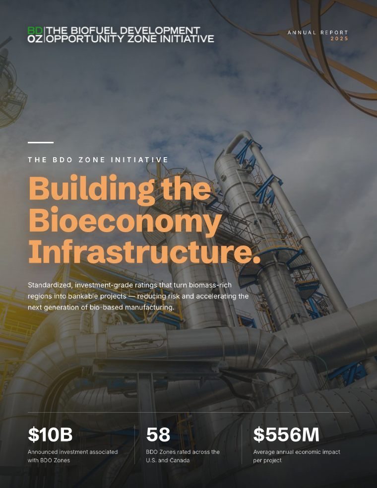 BDO Zone Annual Report 2025 cover