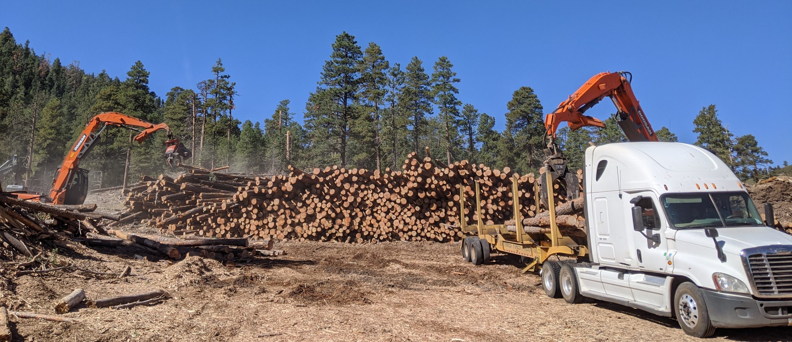 Coconino County, Arizona issued BDO Zone 'A' rating for woody biomass